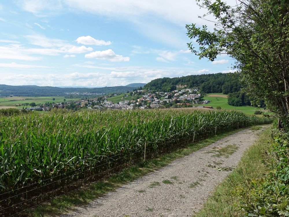 Blick auf Mörlen