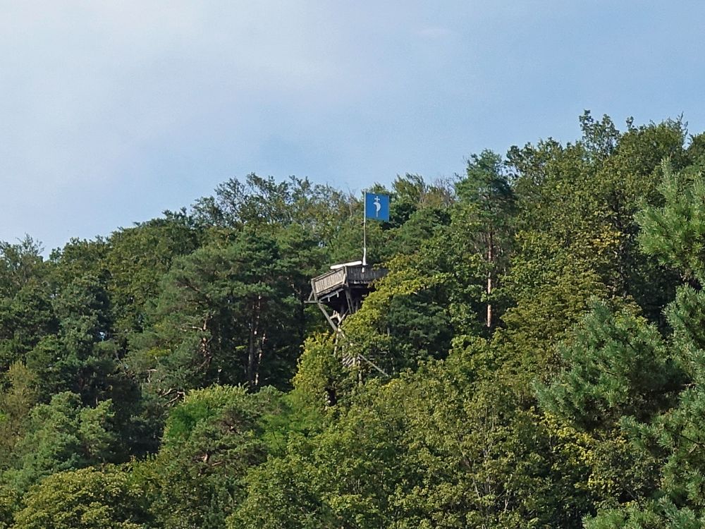 Hörnliturm im Wald