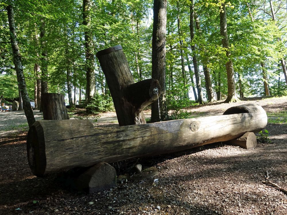 Brunnen beim Hörnliturm