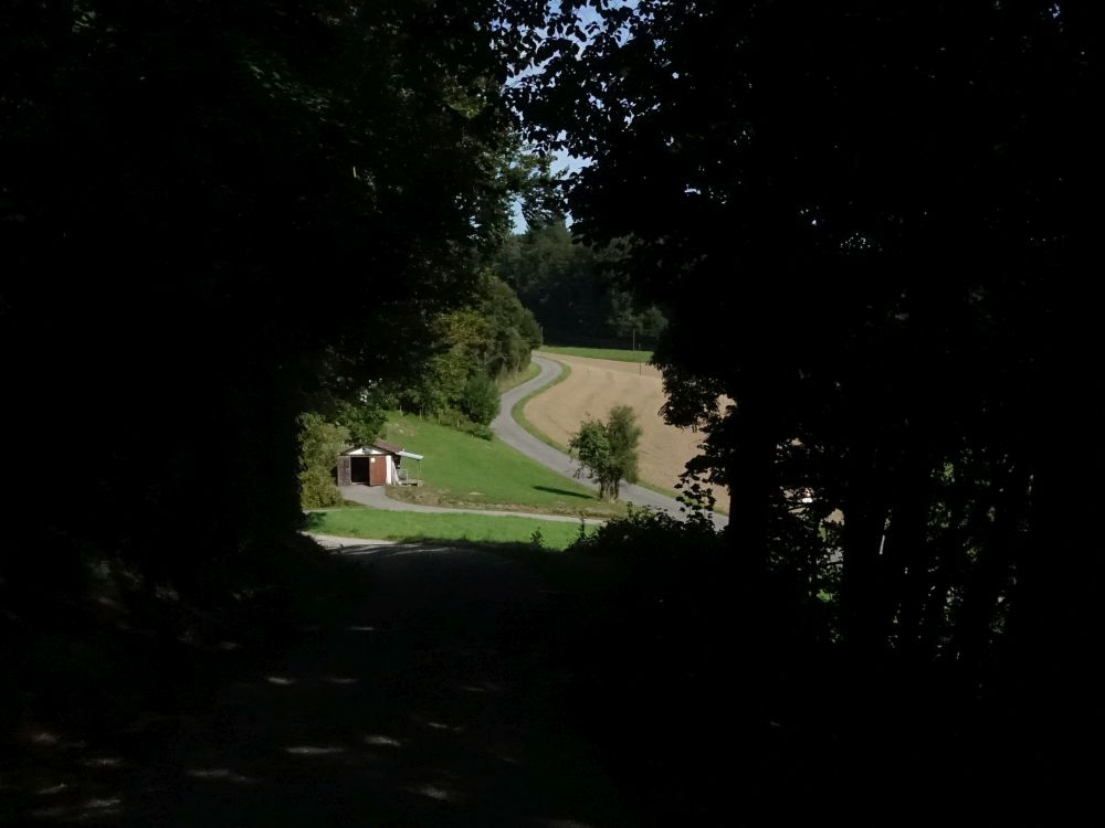 Blick durch Baumlücke auf Grütstrasse