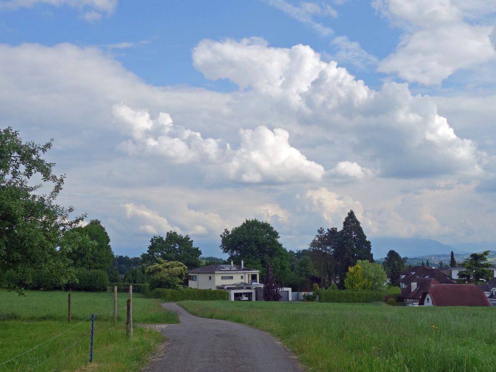 Wolken über Waltenschwil