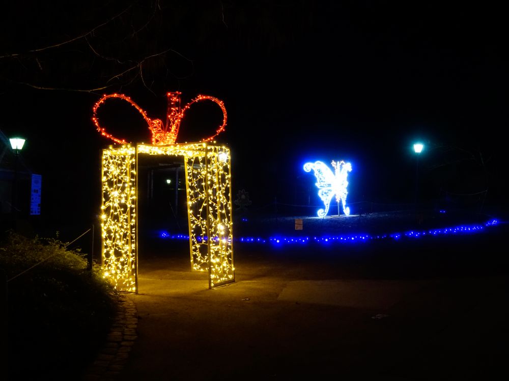 Päckchen beim Schmetterlingshaus