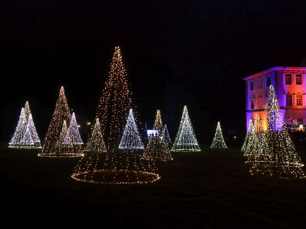 Funkelnder Lichterwald