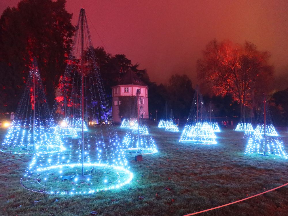 Funkelnder Lichterwald