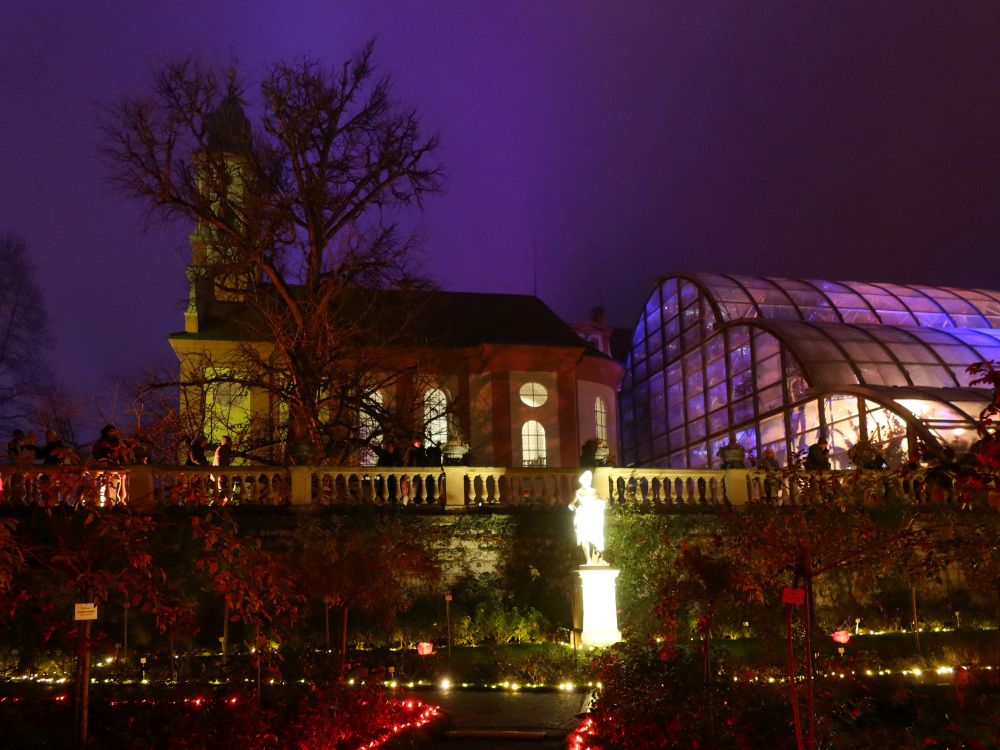 Schlosskirche und Palmenhaus