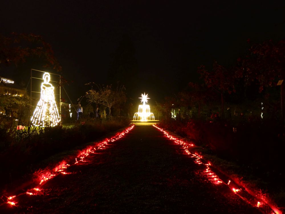 Weg zur Quell der Freude
