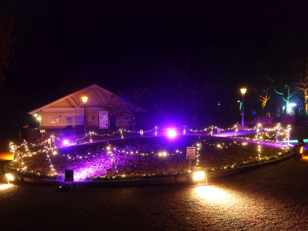 Farbenreich beim Schmetterlingshaus