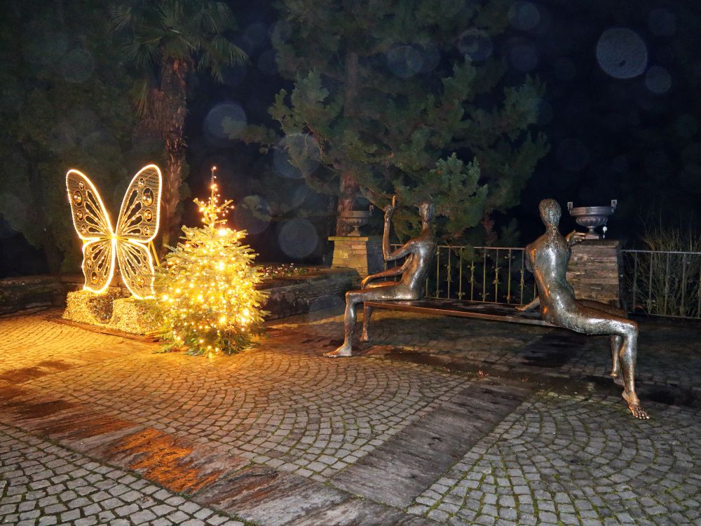 Glitzernder Nachtfalter