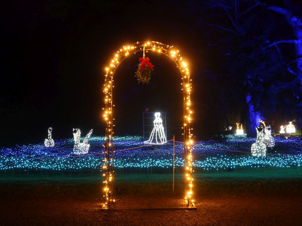 Torbogen bei den Wilden Schwänen