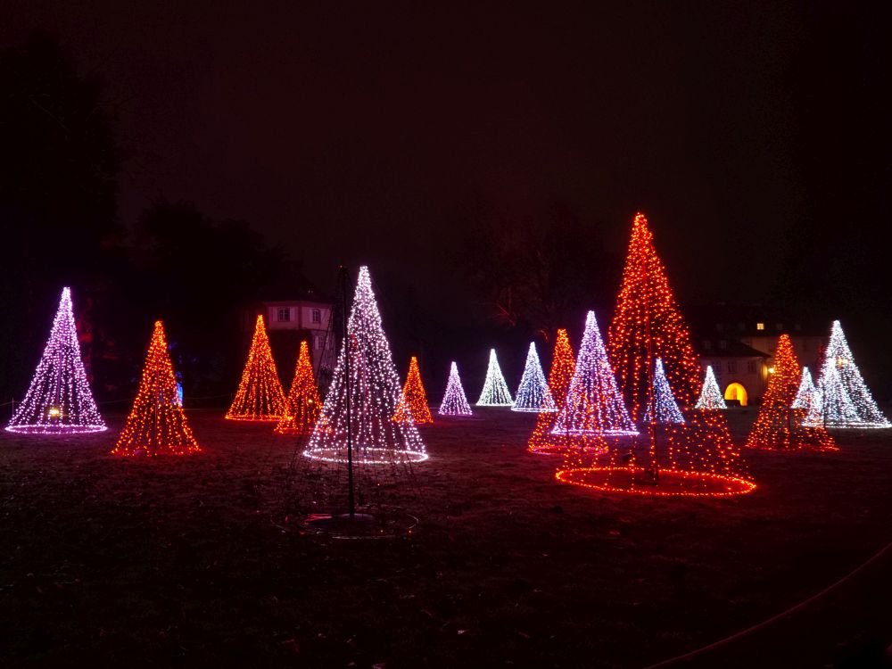 Funkelnder Lichterwald