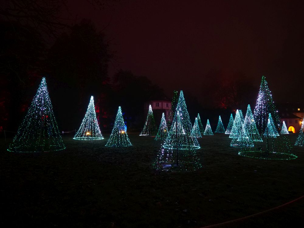 Funkelnder Lichterwald