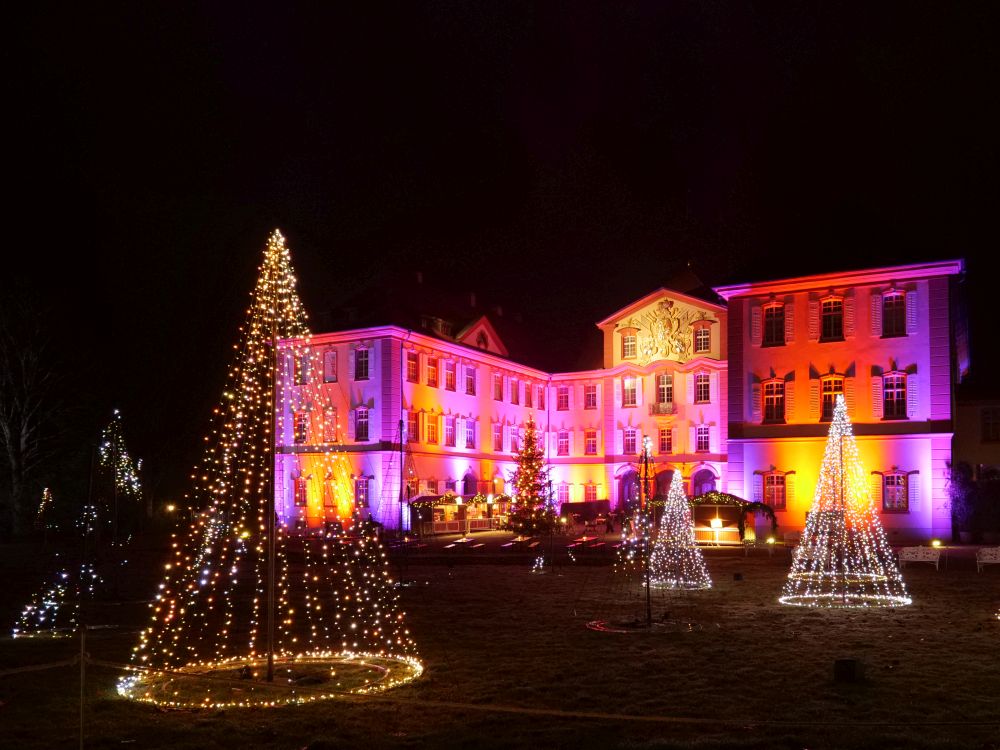 Funkelnder Lichterwald am Schloss