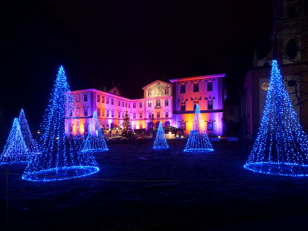 Funkelnder Lichterwald am Schloss