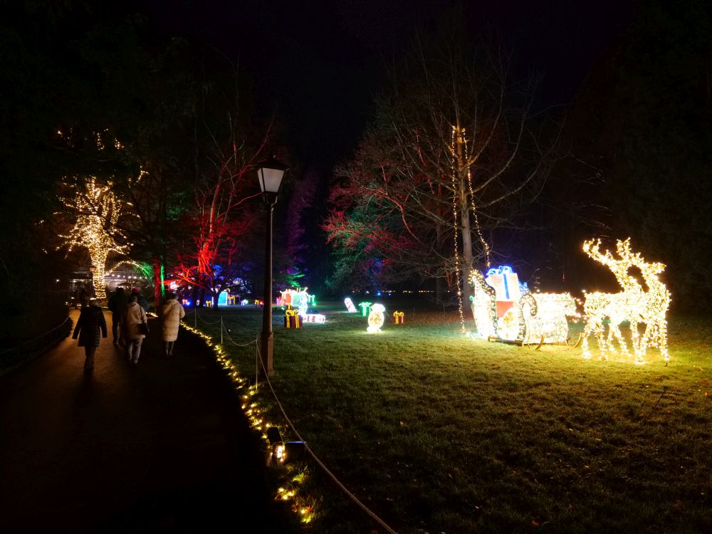 Hirsch mit Schlitten