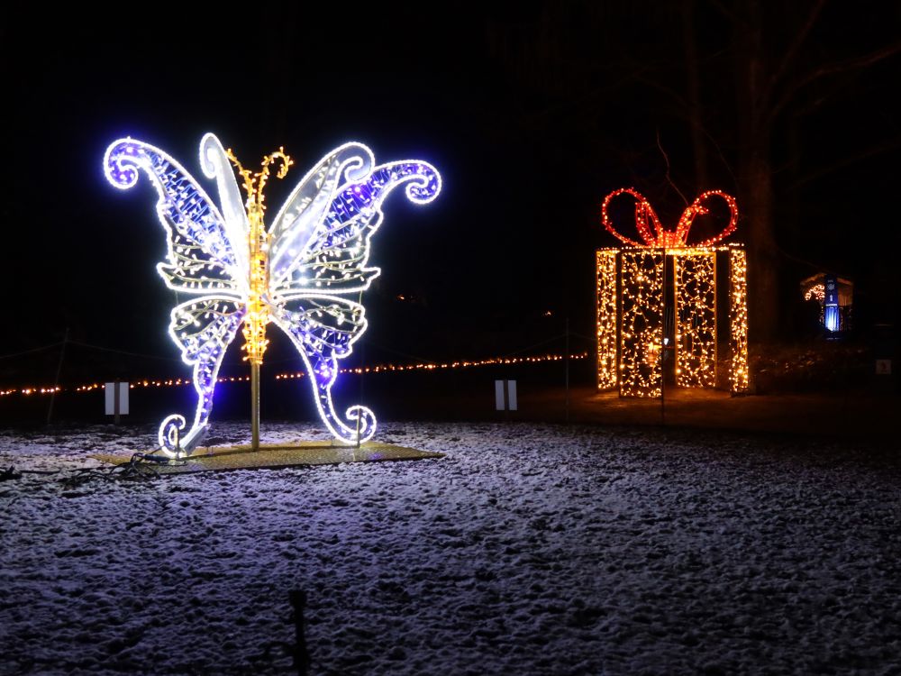 Schmetterling und Päckchen