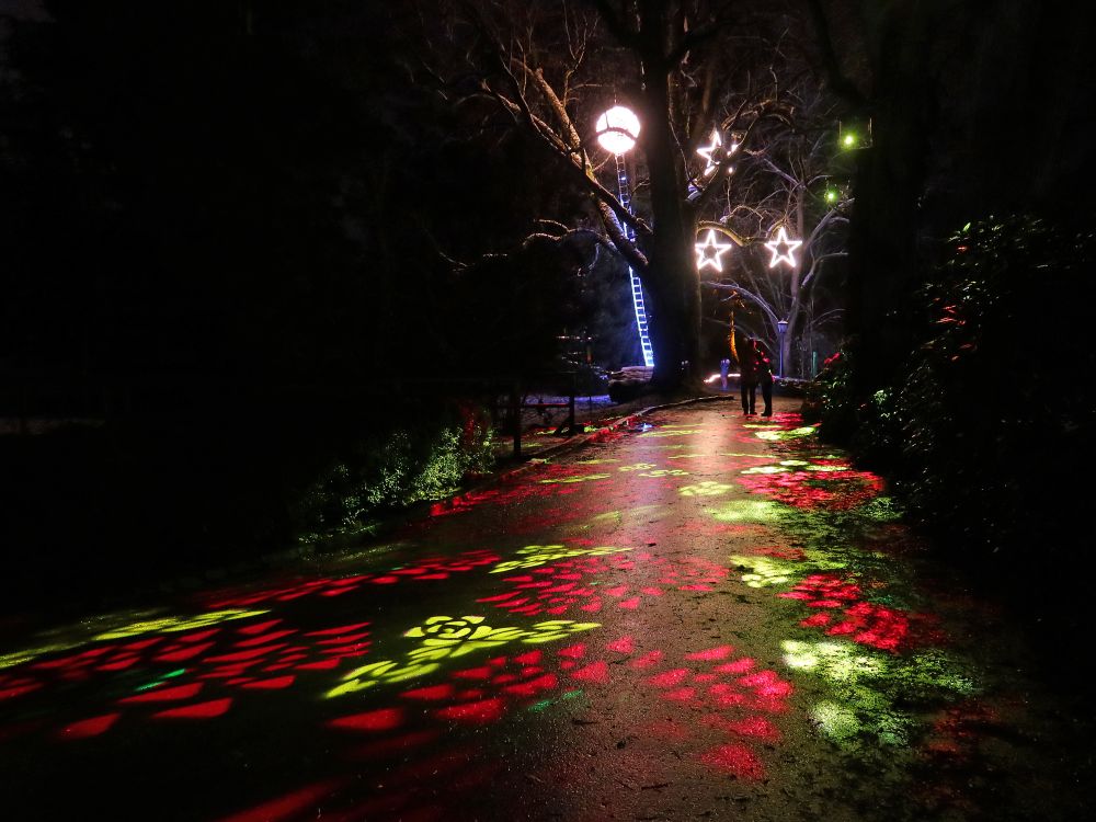 Lichtspiele am Boden