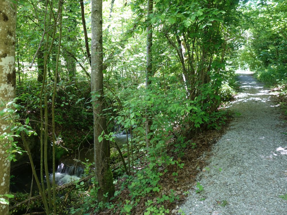 Neumüliweg