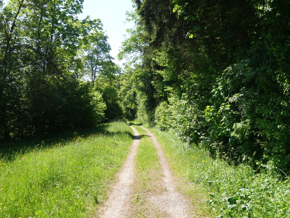 Neumüliweg