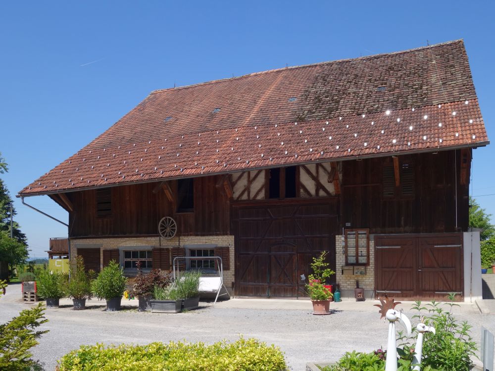 Bauernhof in Ottikon