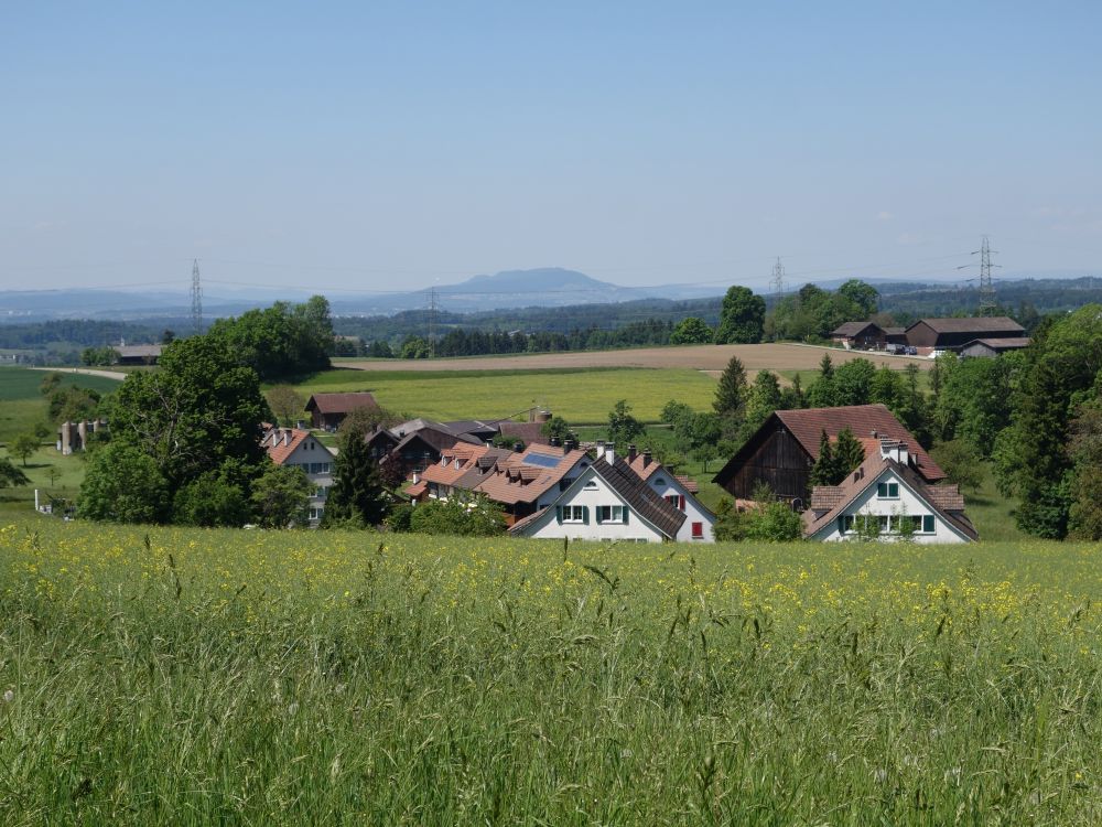 Billikon und Lägeren