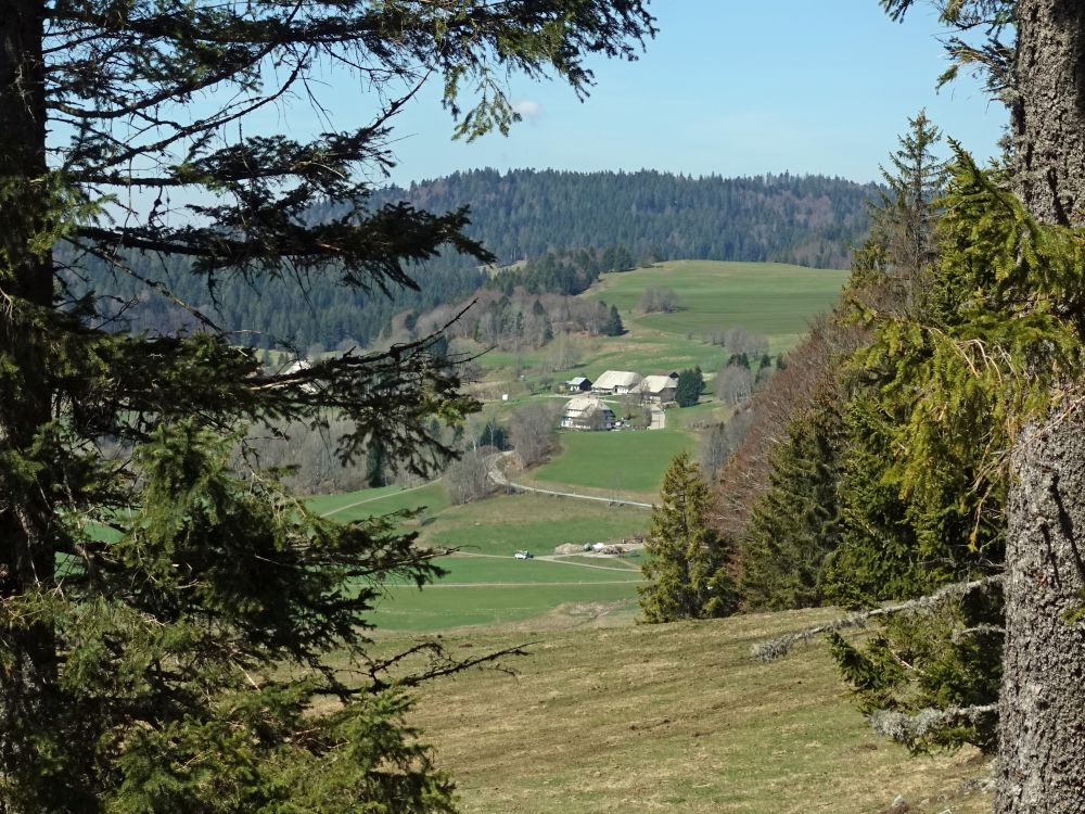 Häuser vom Oberibach