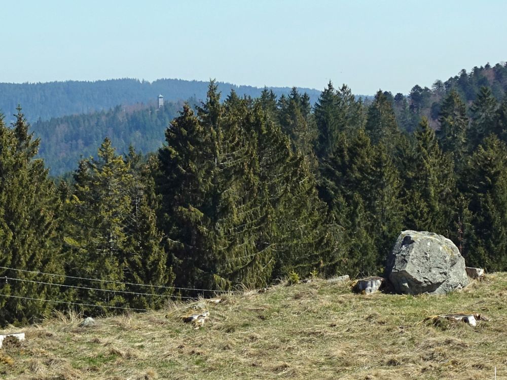 Blick zum  Lehenkopfturm