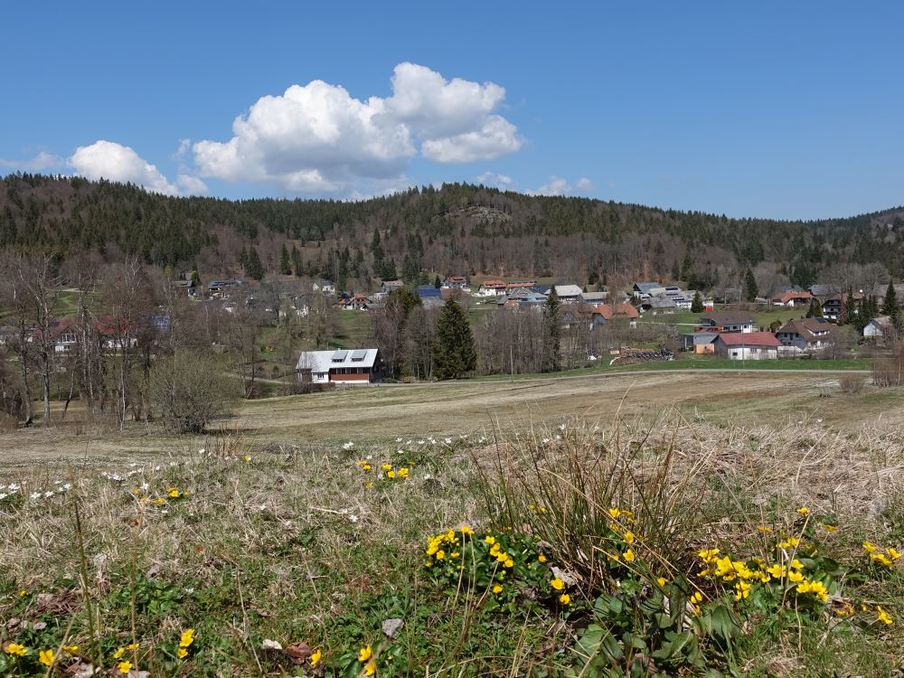 Kreuzfelsen über Wittenschwand