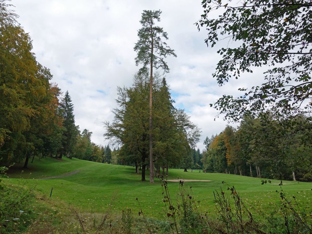 Golfplatz