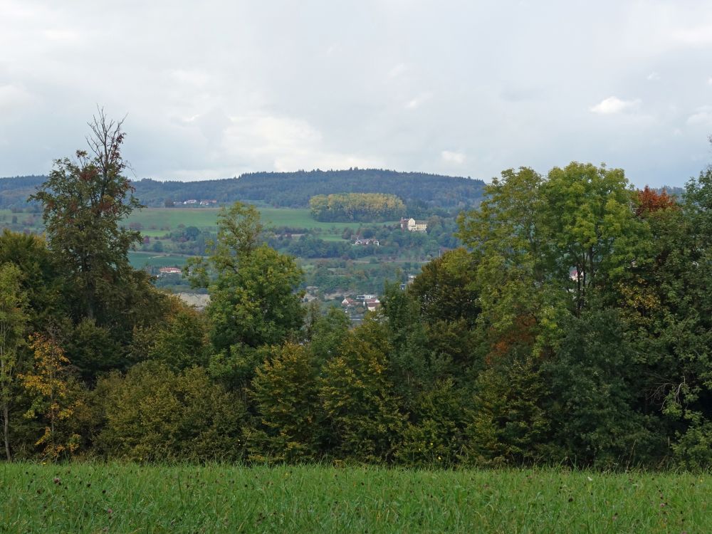 Blick Richtung Überlingen