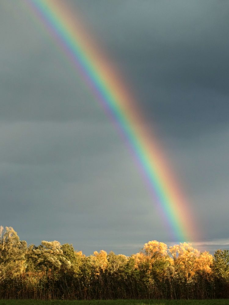 Regenbogen