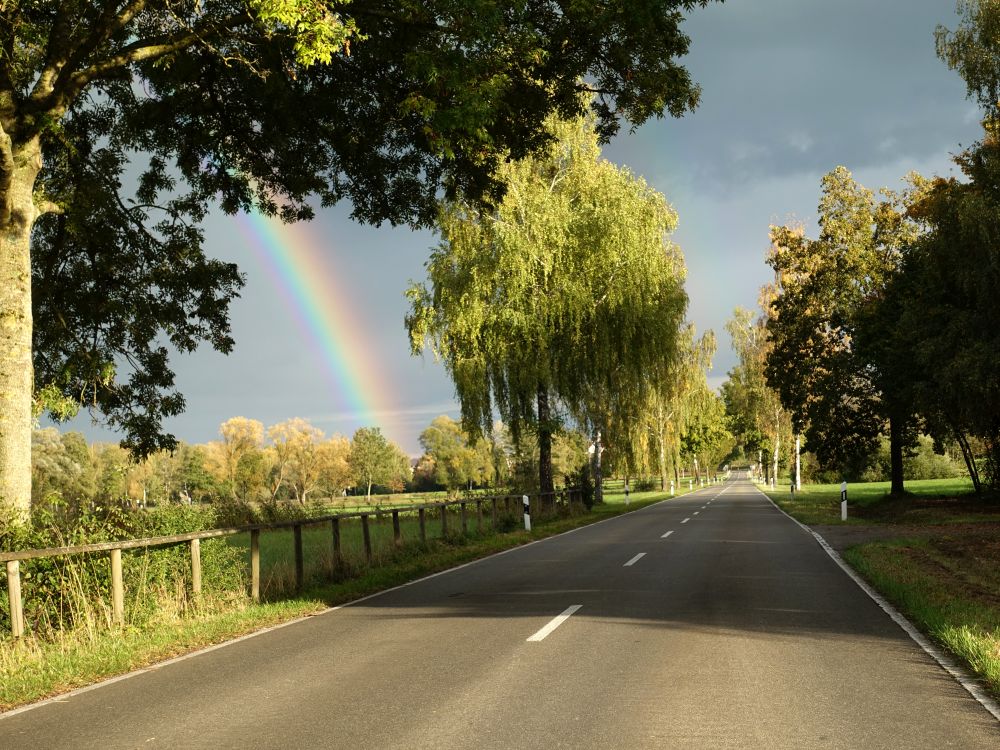 Regenbogen