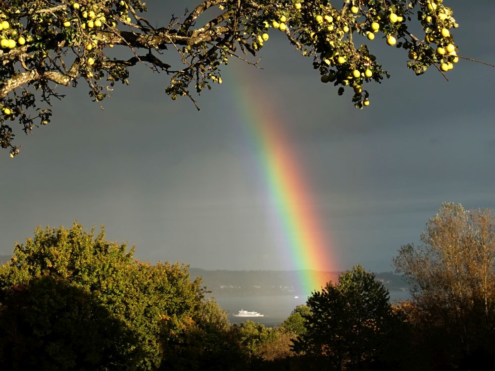 Regenbogen