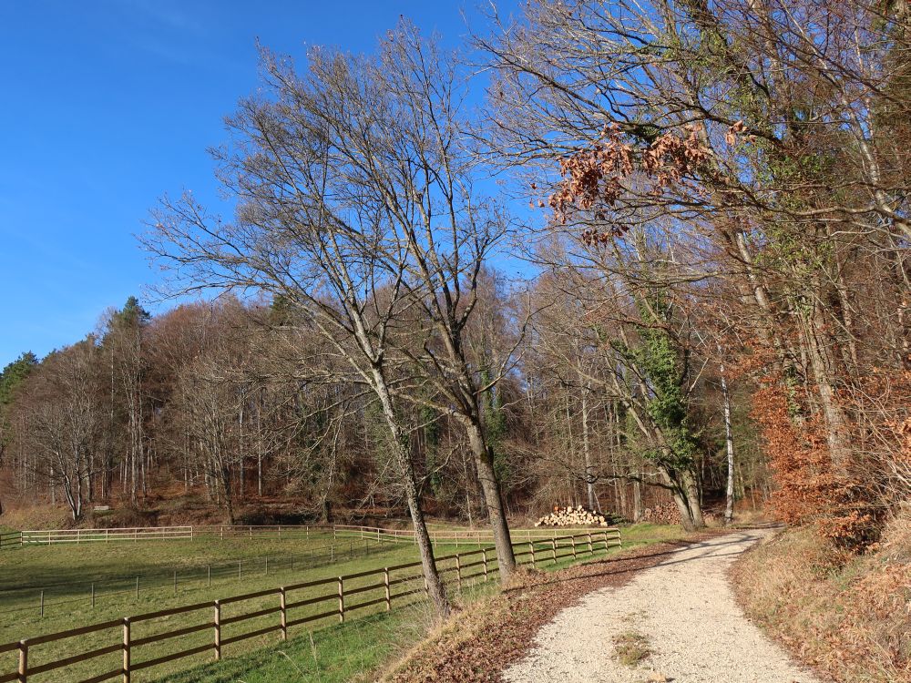 Weg bei Dobelmühle