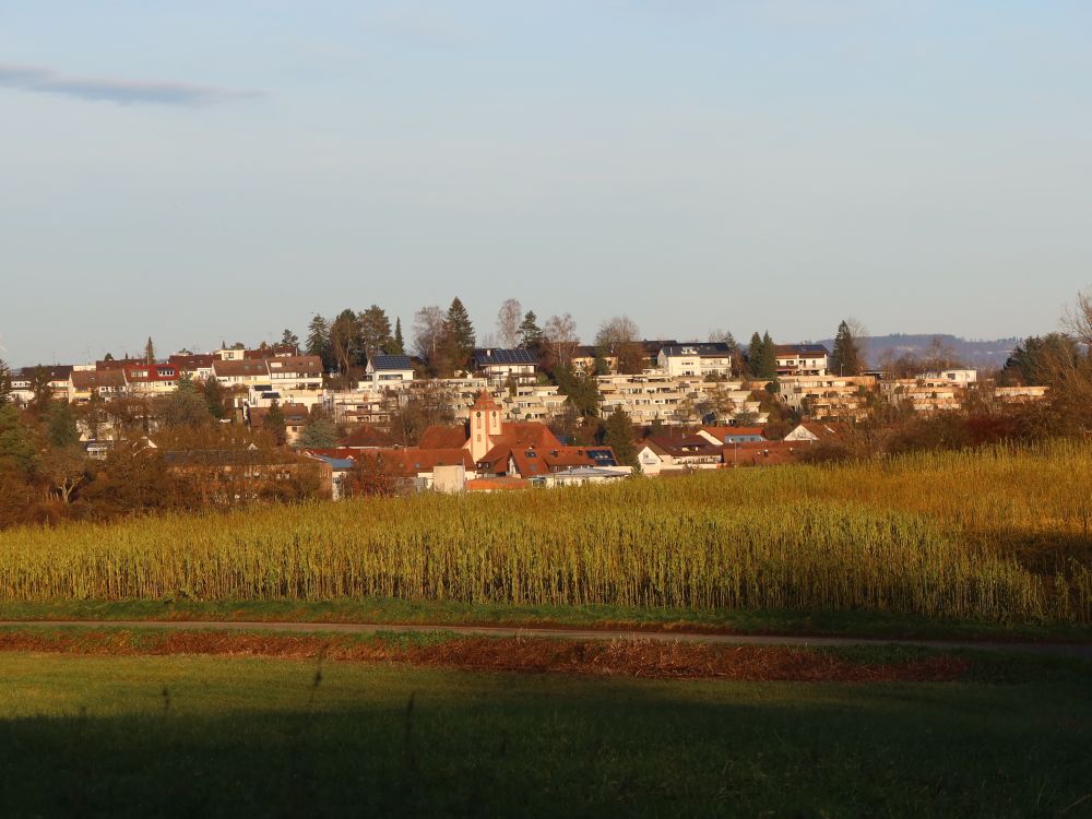 Blick auf Dettingen