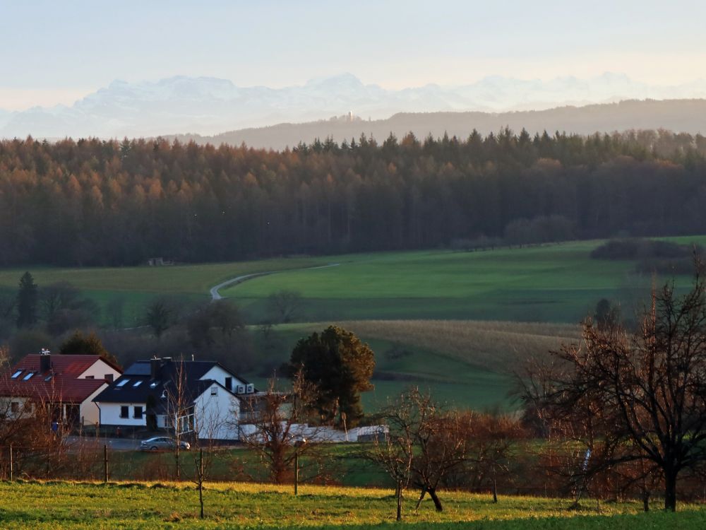 Glarner Alpen und Napoleonturm