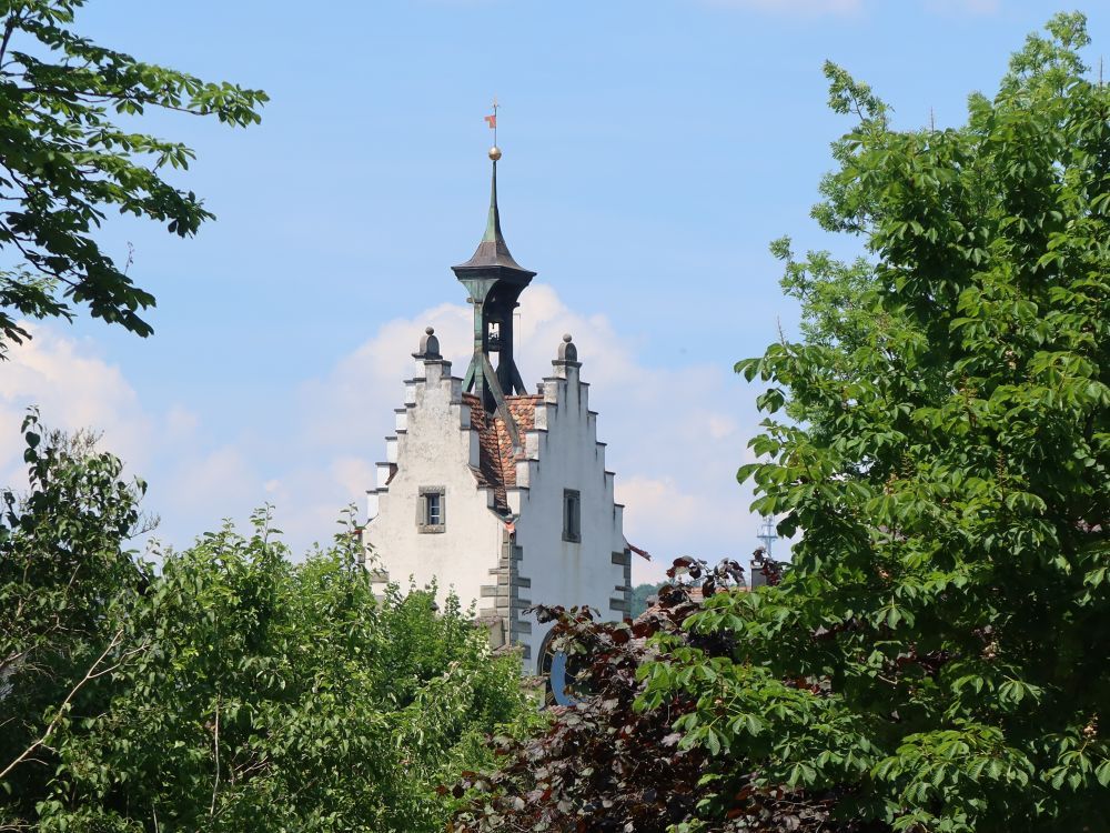 Spiegelturm Dissenhofen