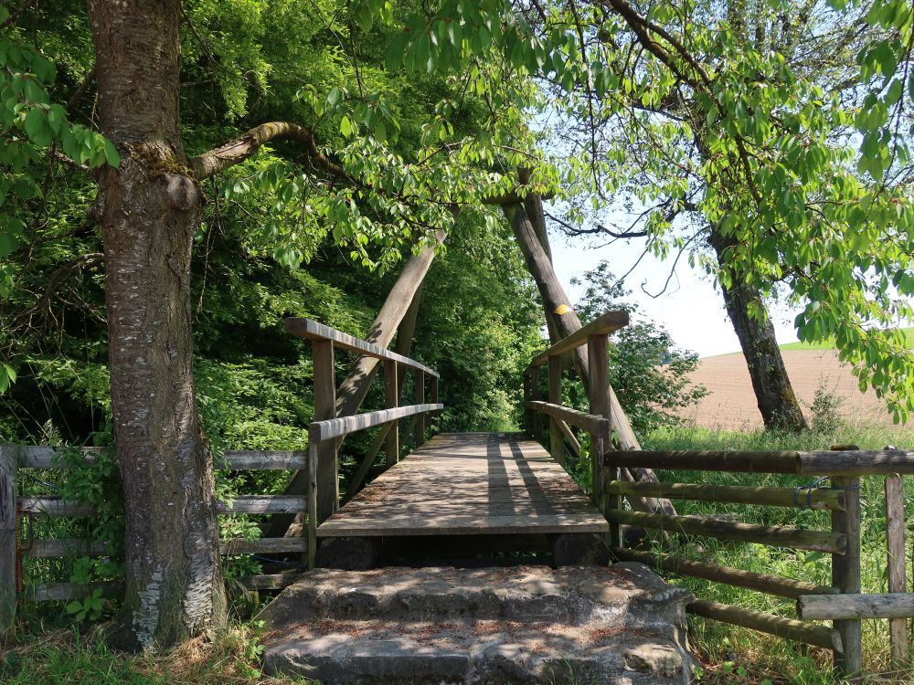 Holzsteg übern Geisslibach