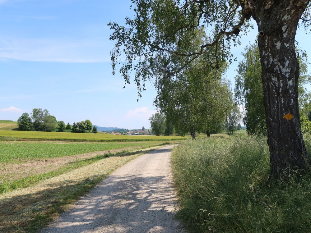 Blick Richtung Basadingen