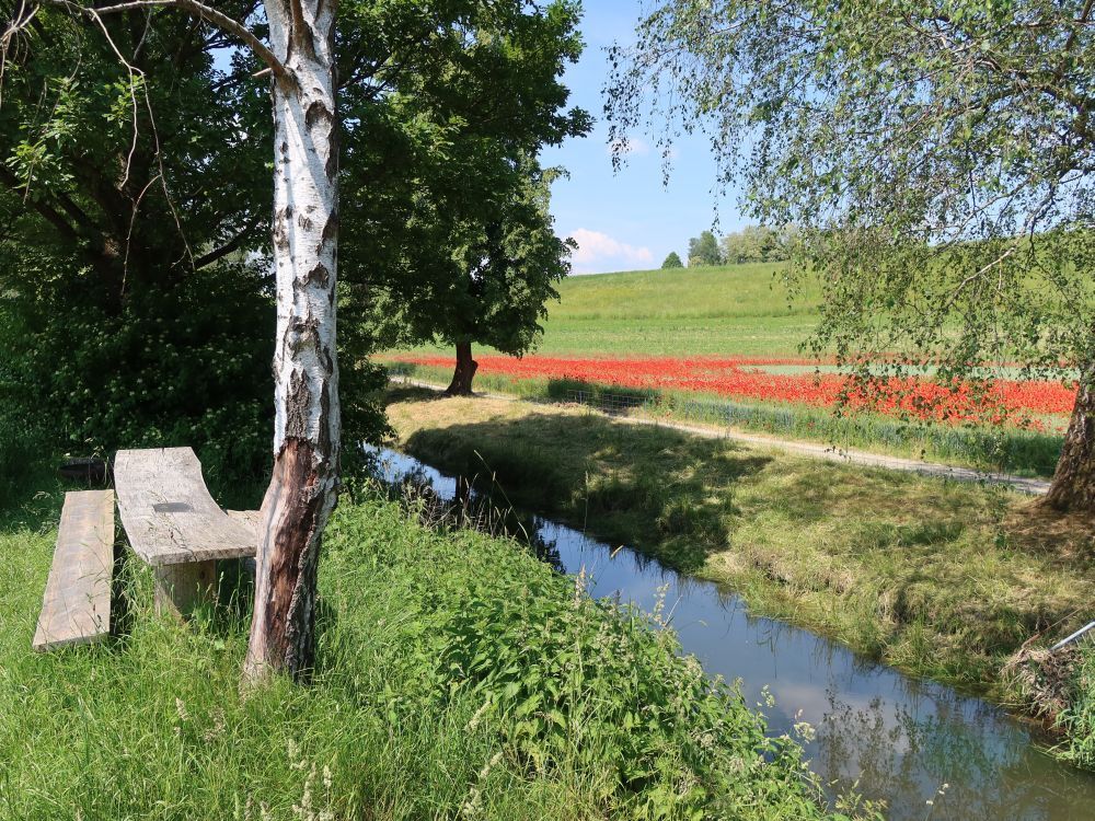 Sitzbank am Geisslibach