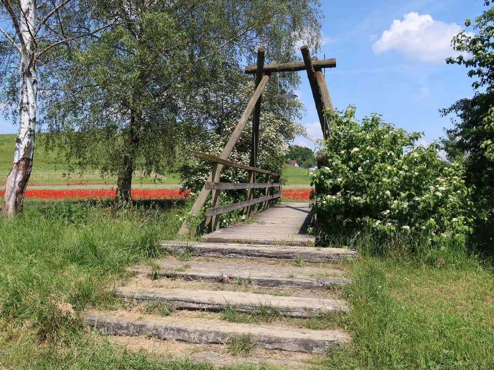 Holzsteg übern Geisslibach