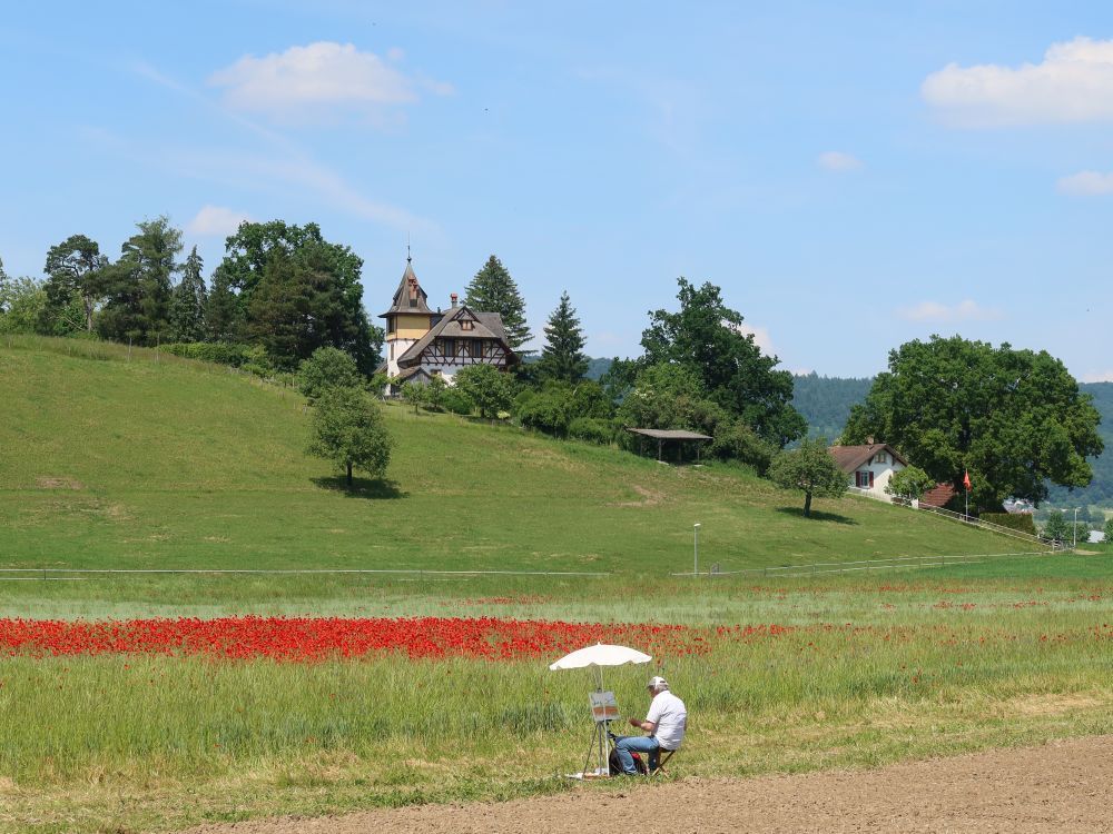 Mahler am Eichbühl