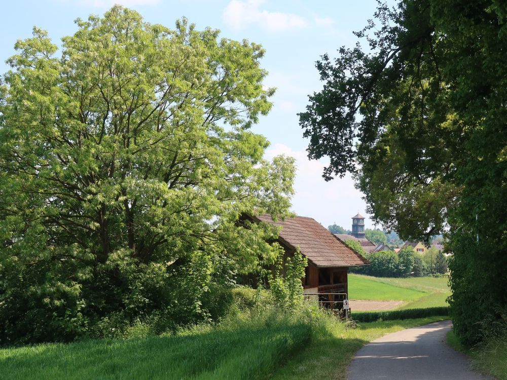 Kirche von Basadingen