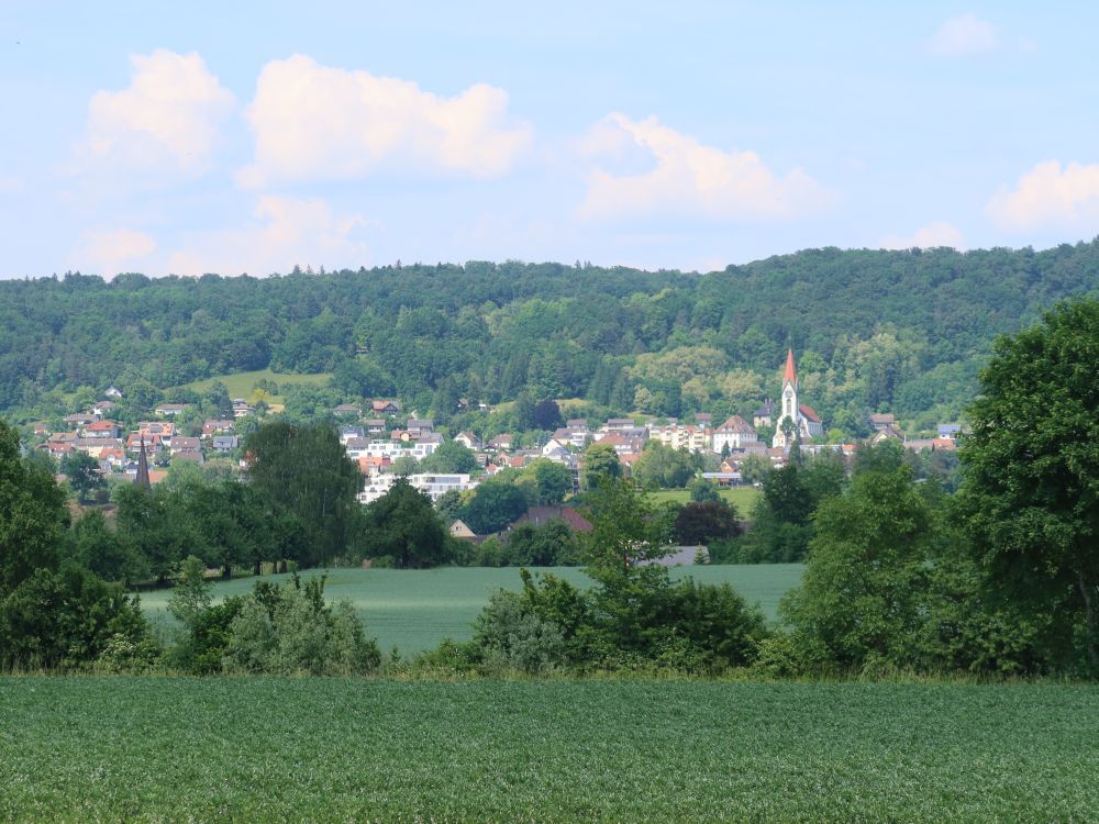 Blick Richtung Gailingen