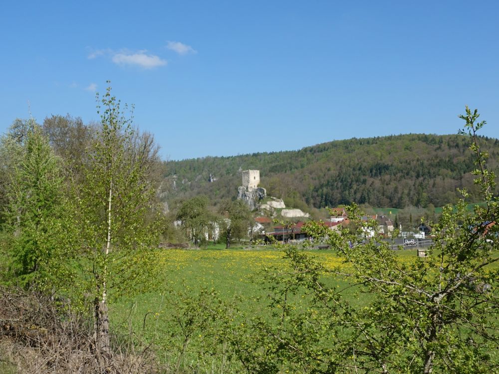 Blick Richtung Dietfurt