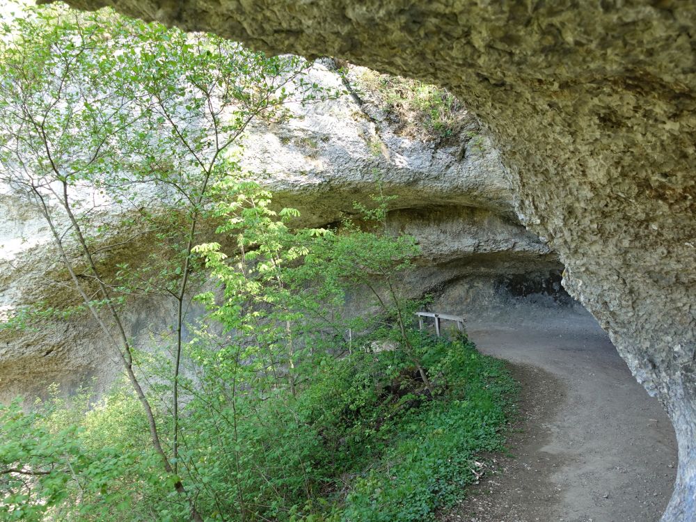 Inzigkofer Grotten