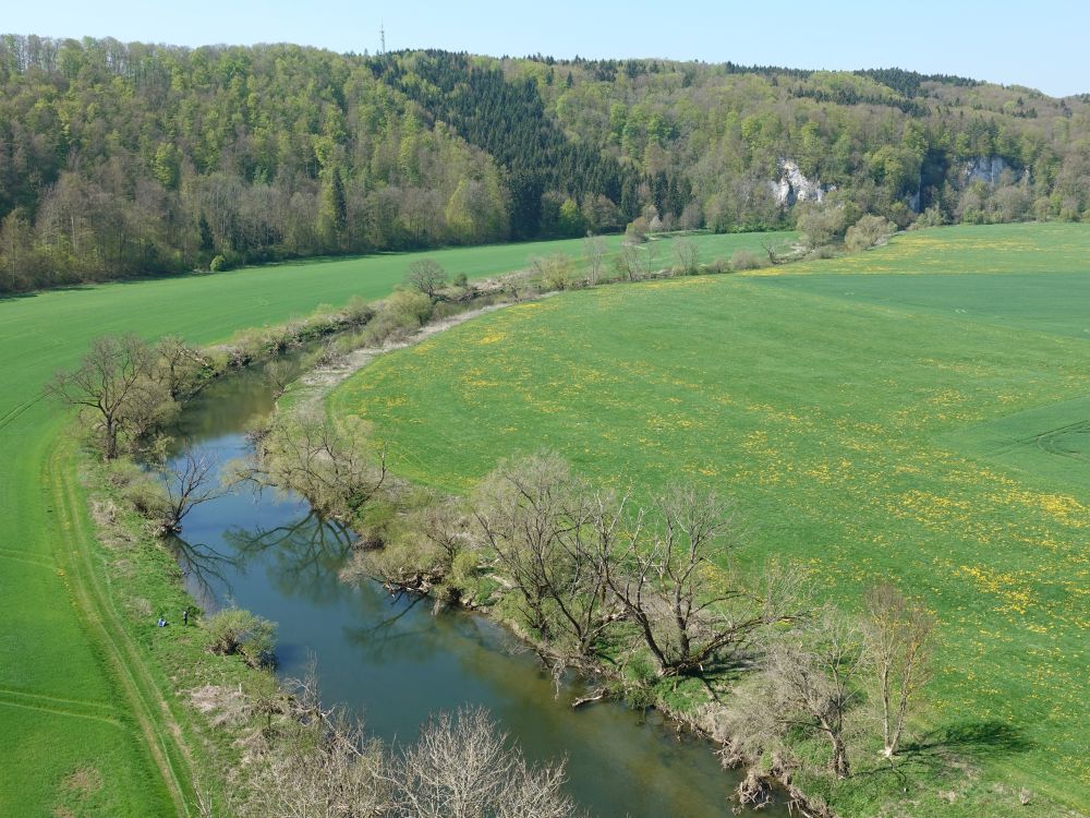 Blick vom Känzele auf die Donau