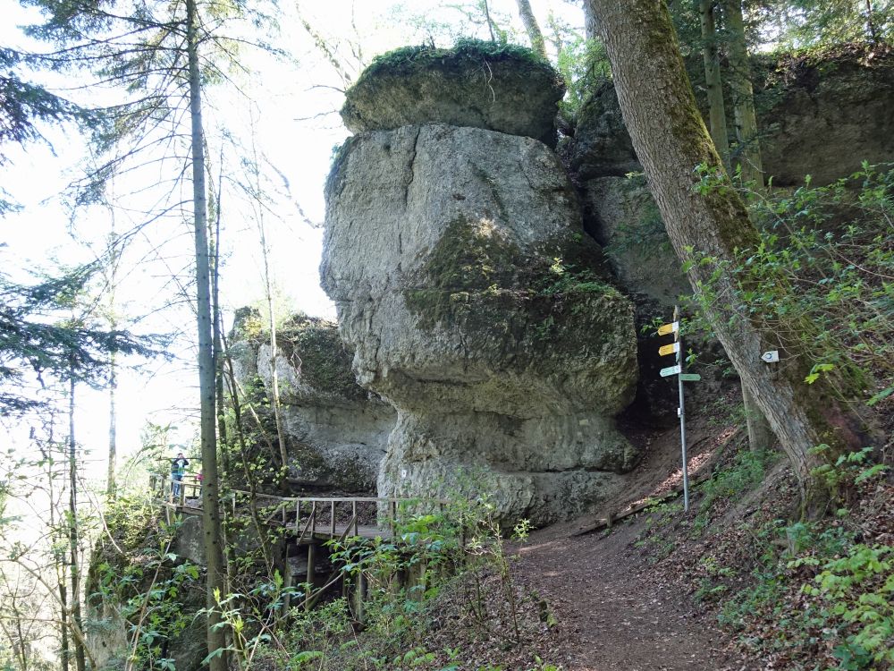 Kloster-Felsenweg