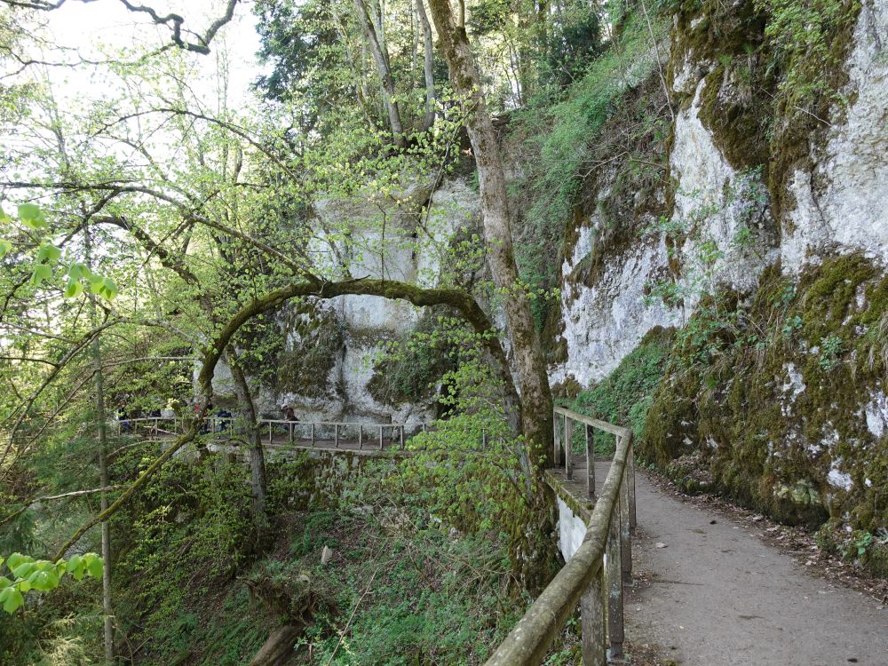 Kloster-Felsenweg