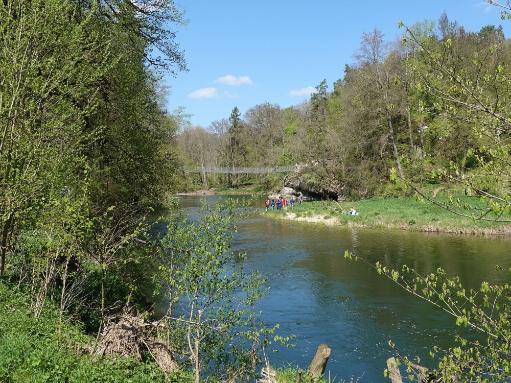 Donau mit Hängebrücke