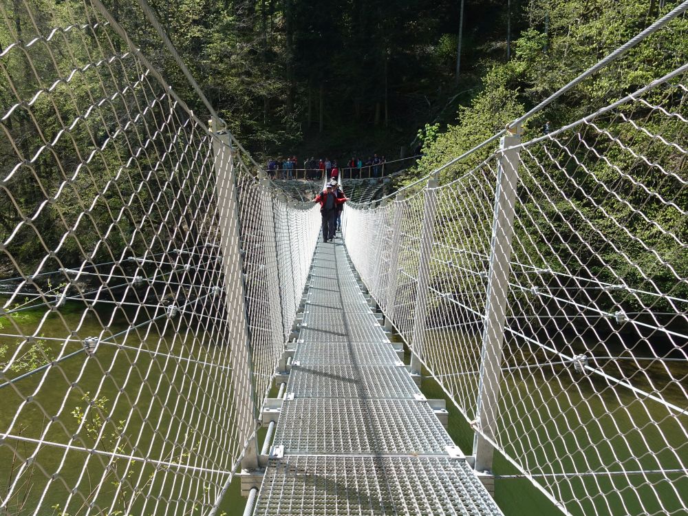 Hängebrücke über die Donau